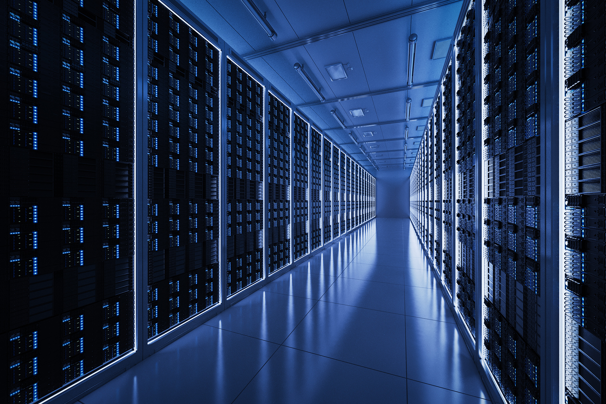 Infrastructure and Network Security