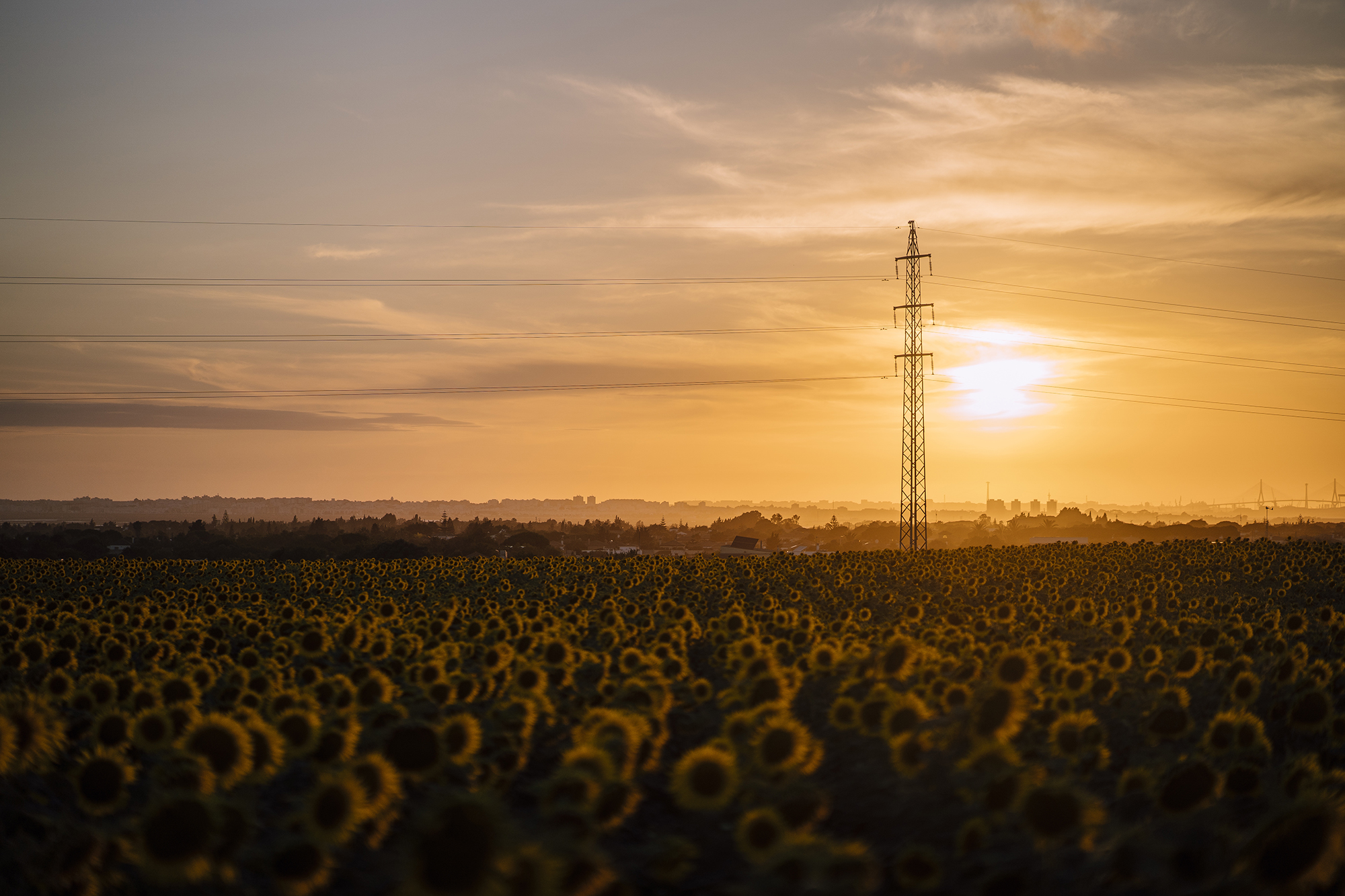 Telecommunications
