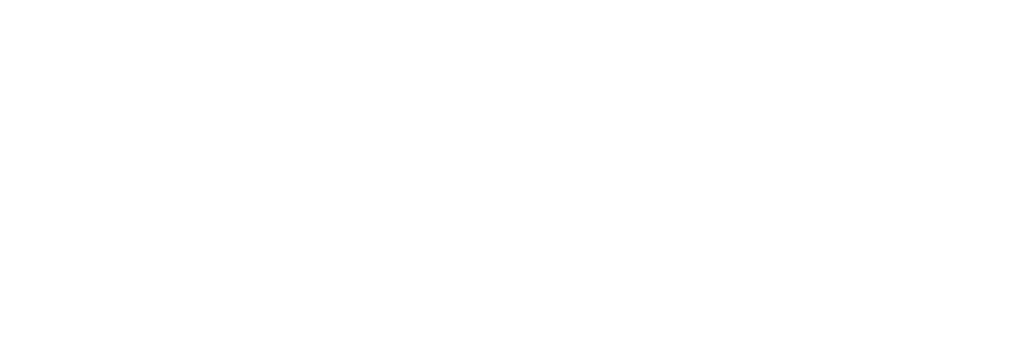 ICSFusion
